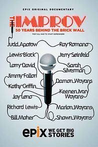 Watch The Improv: 50 Years Behind the Brick Wall (TV Special 2013)
