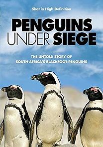 Watch Penguins Under Siege