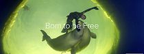 Watch Born to Be Free