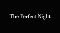 Watch The Perfect Night