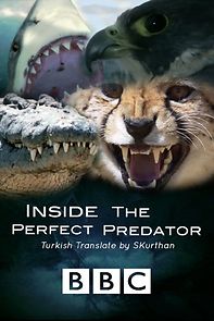 Watch Inside the Perfect Predator