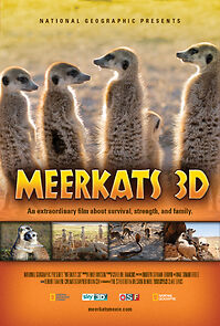 Watch Meerkats