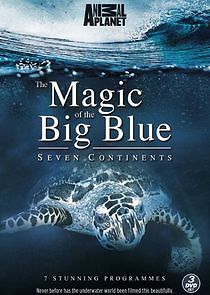 Watch The Magic of the Big Blue