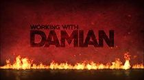Watch Working with Damian