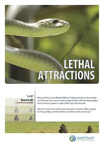 Watch Lethal Attractions
