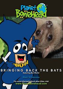 Watch Bringing Back the Bats