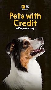 Watch Pets with Credit: A Dogumentary