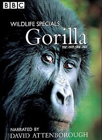 Watch Gorilla Revisited with David Attenborough