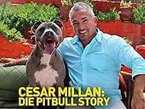 Watch Cesar Millan: Love My Pit Bull