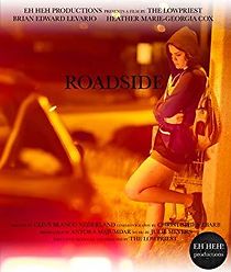Watch Roadside