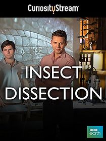 Watch Insect Dissection: How Insects Work