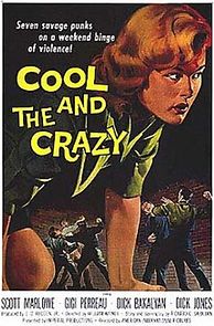 Watch The Cool and the Crazy