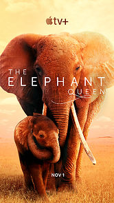 Watch The Elephant Queen