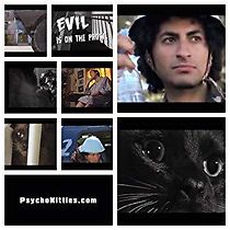 Watch Psycho Kitties