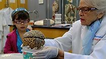Watch My Love Affair with the Brain: The Life and Science of Dr. Marian Diamond