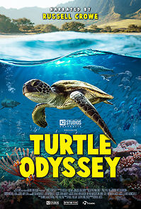 Watch Turtle Odyssey