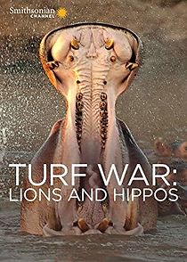 Watch Turf War: Lions and Hippos
