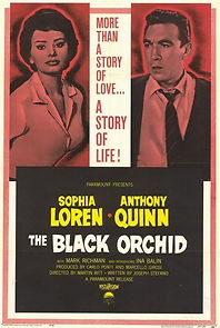 Watch The Black Orchid