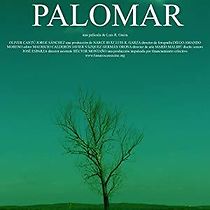 Watch Palomar
