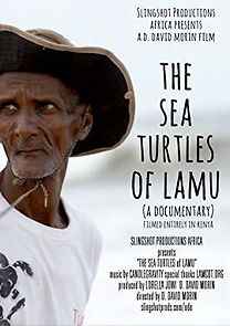Watch The Sea Turtles of Lamu