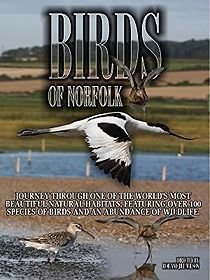 Watch Birds of Norfolk: A Bird Watchers Dream