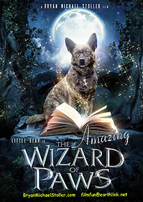 Watch The Amazing Wizard of Paws
