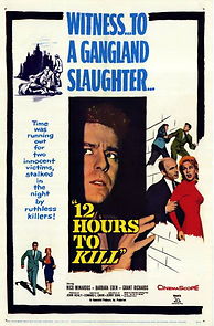Watch Twelve Hours to Kill