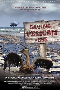 Watch Saving Pelican 895 (Short 2011)