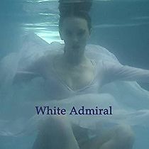 Watch White Admiral