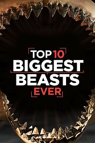 Watch Top 10 Biggest Beasts Ever