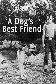 Watch A Dog's Best Friend