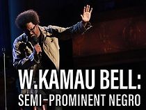 Watch W. Kamau Bell: Semi-Promenint Negro