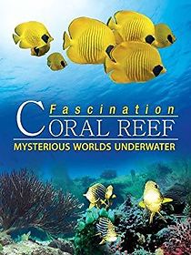 Watch Fascination Coral Reef: Mysterious Worlds Underwater