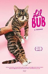 Watch Lil Bub & Friendz