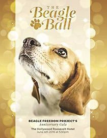 Watch 5th Annual Beagle Ball Live