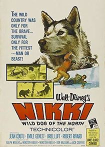 Watch Nikki, Wild Dog of the North