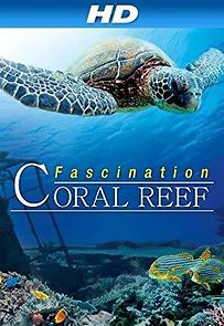 Watch Fascination Coral Reef
