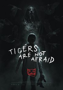 Watch Tigers Are Not Afraid