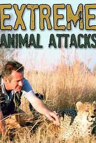 Watch Extreme Animal Attacks
