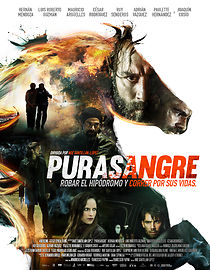 Watch Purasangre