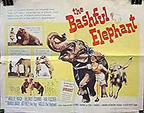 Watch The Bashful Elephant
