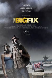 Watch The Big Fix