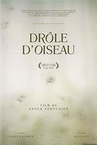 Watch Drôle d'Oiseau