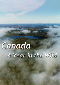 Watch A Year in the Wild