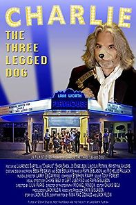 Watch Charlie the Three Legged Dog