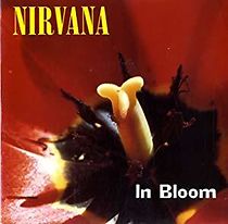 Watch Nirvana: In Bloom