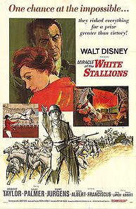 Watch Miracle of the White Stallions