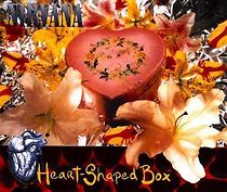 Watch Nirvana: Heart Shaped Box