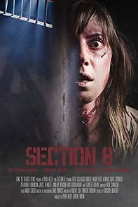 Watch Section 8