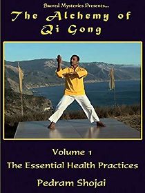 Watch The Alchemy of Qi Gong Volume 1
